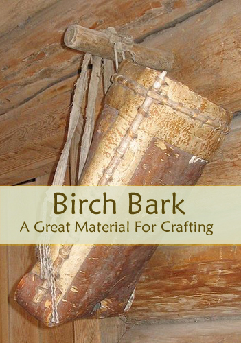 Birch Bark - A Great Material for Crafting - Pioneer Thinking